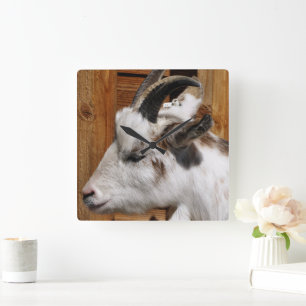 CUTE GOAT  SQUARE WALL CLOCK