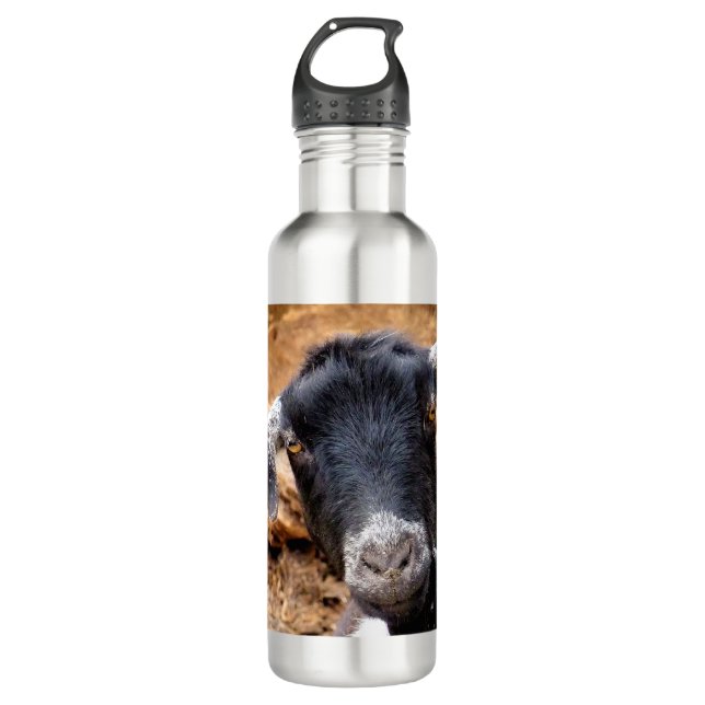 CUTE GOAT STAINLESS STEEL WATER BOTTLE (Front)