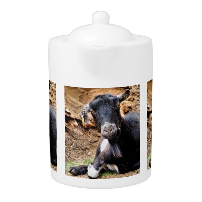 CUTE GOAT TEAPOT (Front)