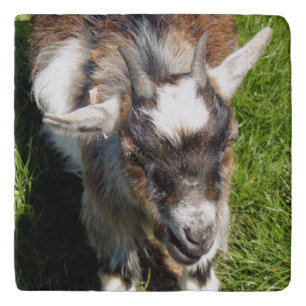 CUTE GOAT TRIVET
