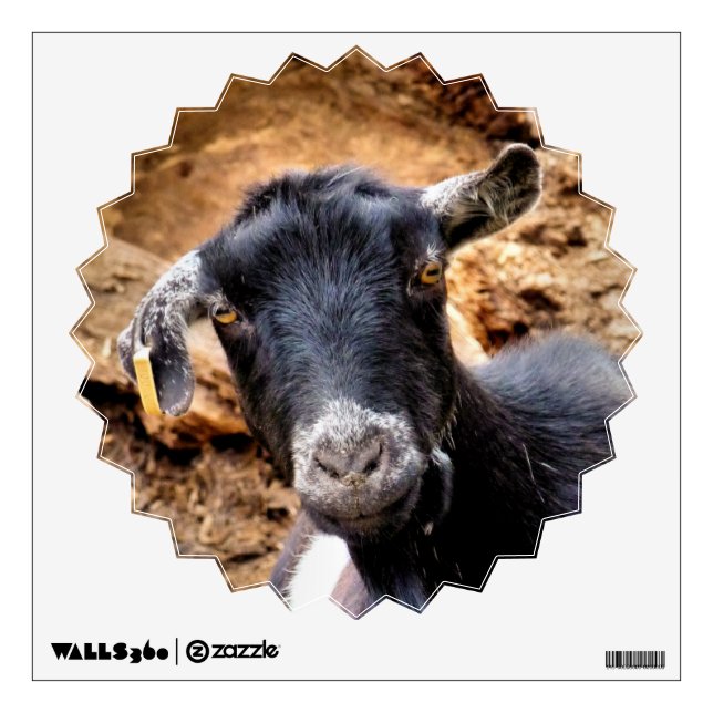 CUTE GOAT WALL STICKER (Front)