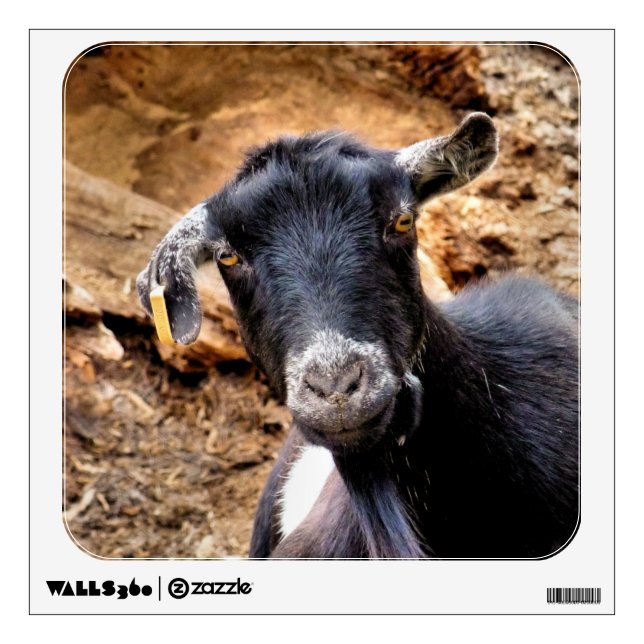 CUTE GOAT WALL STICKER (Front)