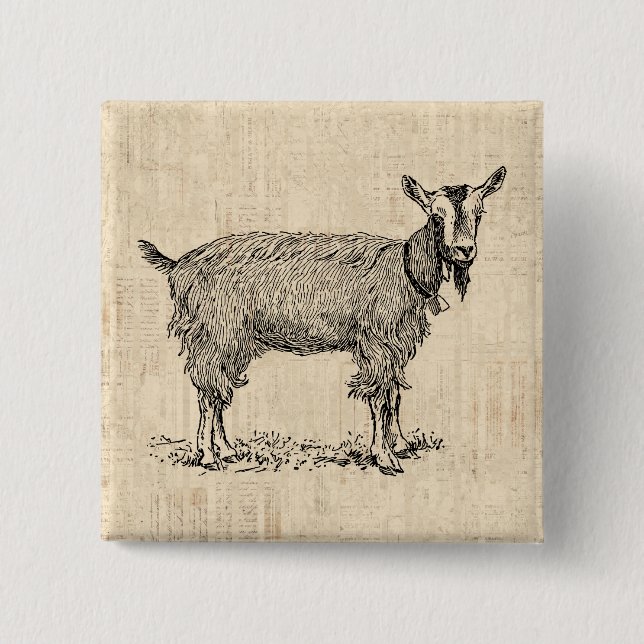 Cute Goat with Bell Illustration Antique Script Button (Front)