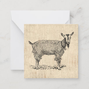 Cute Goat with Bell Illustration Antique Script Note Card
