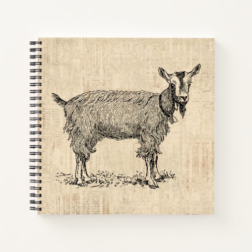 Cute Goat with Bell Illustration Antique Script Notebook