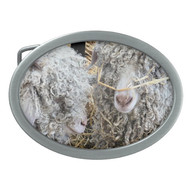 CUTE GOATS  BELT BUCKLE (Front)