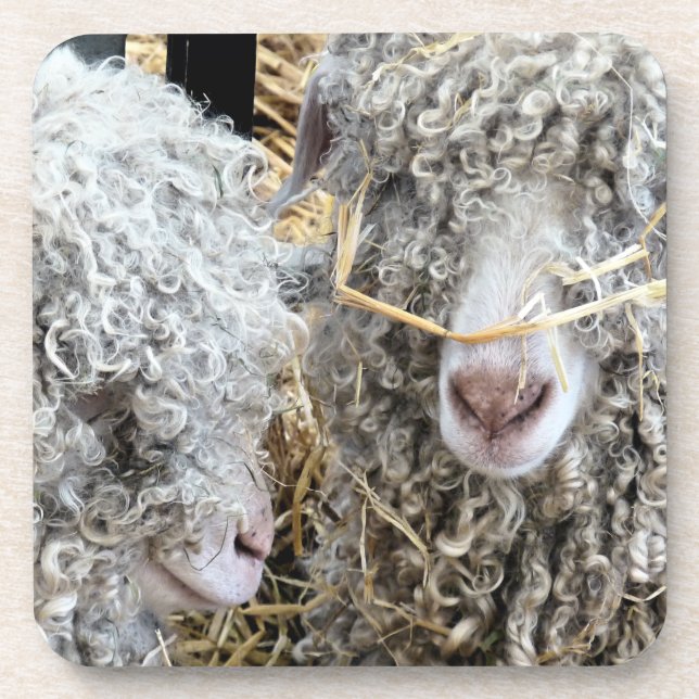 CUTE GOATS  BEVERAGE COASTER (Front)