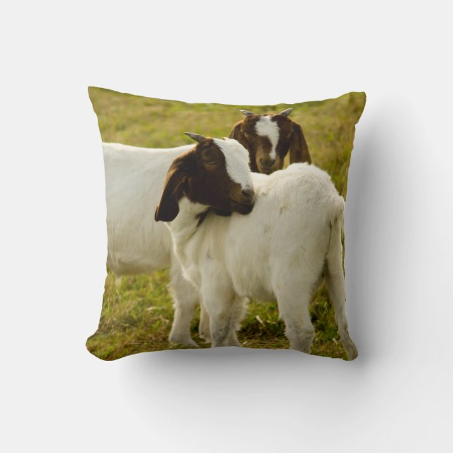 Cute Goats Boer Field Throw Pillow (Front)