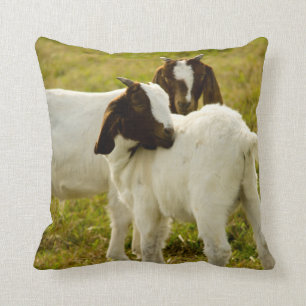 Cute Goats Boer Field Throw Pillow