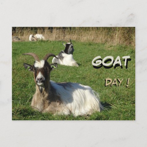 Cute Goats Cust Text Goat Day Postcard