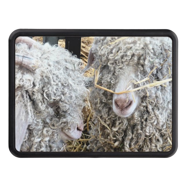 CUTE GOATS   HITCH COVER (Front)