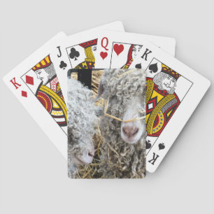 CUTE GOATS POKER CARDS