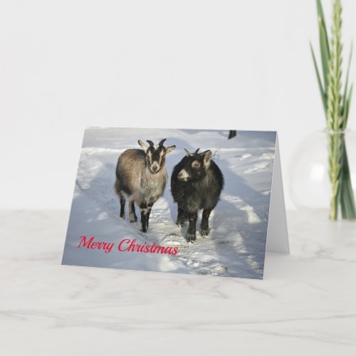 Cute Goats Snow Photo Christmas Holiday Card