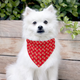 Cute Gold Glitter Paw Prints Pet Lovers Red Bandana Collar