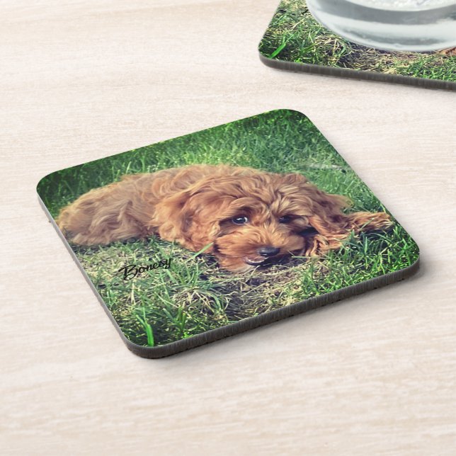Cute Golden Doodle Beverage Coaster (Left Side)