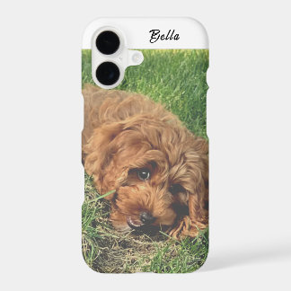 Cute Golden Doodle iPhone 17 Case