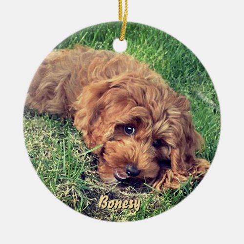 Cute Golden Doodle Ceramic Ornament