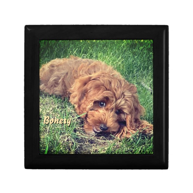 Cute Golden Doodle Gift Box (Front)