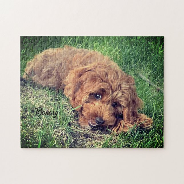 Cute Golden Doodle Jigsaw Puzzle (Horizontal)