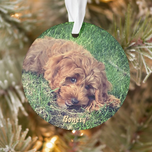 Cute Golden Doodle Ornament (Tree)