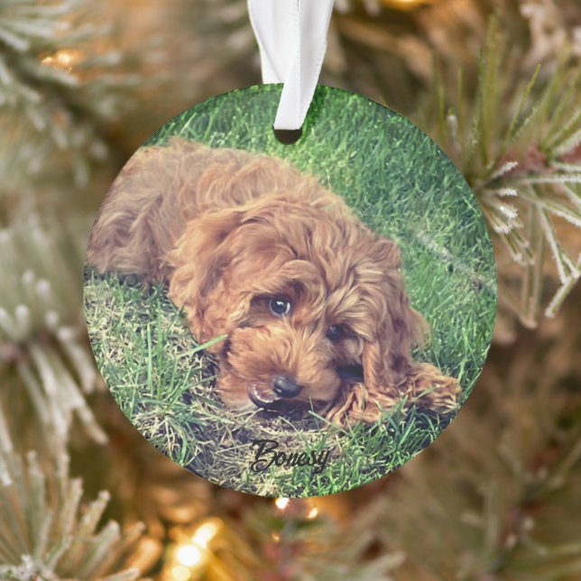 Cute Golden Doodle Ornament (Tree)