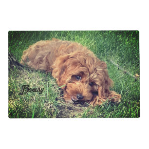Cute Golden Doodle Placemat