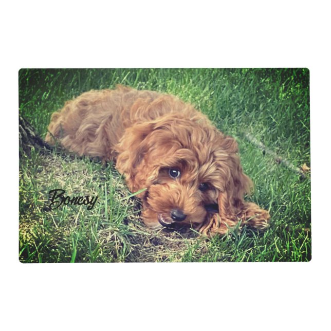 Cute Golden Doodle Placemat (Front)
