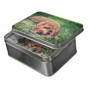 Cute Golden Doodle Puzzle With Tin Box