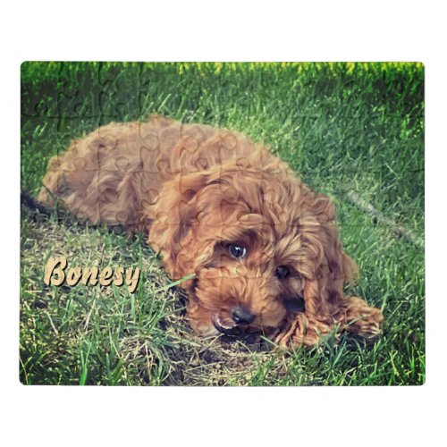 Cute Golden Doodle Puzzle With Tin Box