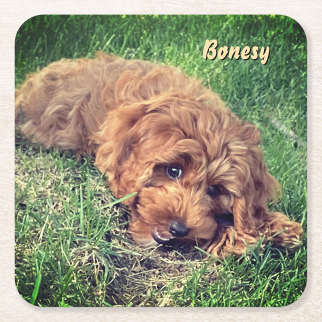 Cute Golden Doodle Square Paper Coaster (Front)