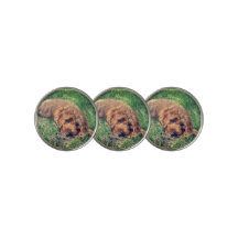 Cute Golden Doodle With Text