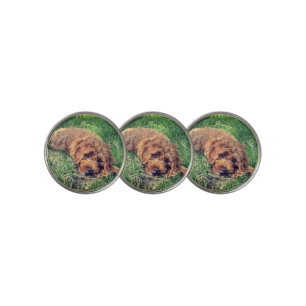 Cute Golden Doodle With Text Golf Ball Marker