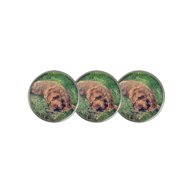 Cute Golden Doodle With Text Golf Ball Marker (3 Up)