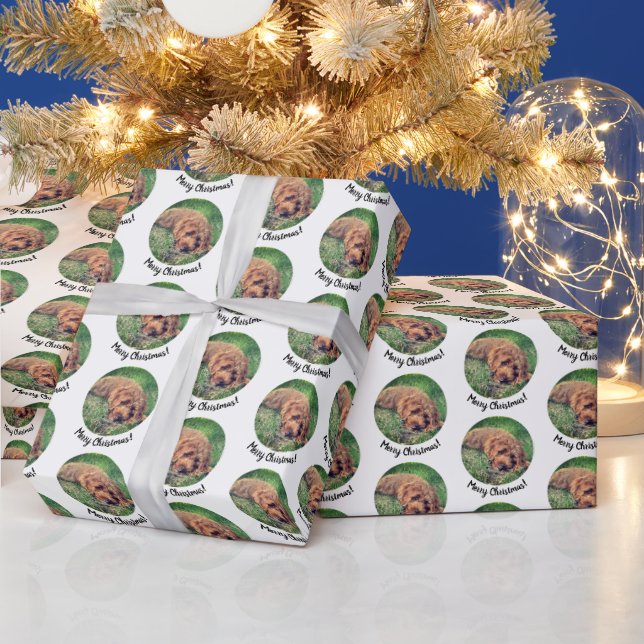 Cute Golden Doodle Wrapping Paper (Holidays)