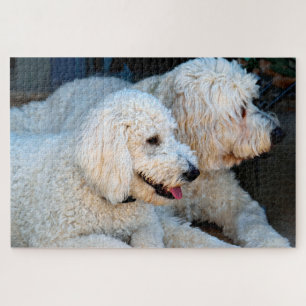 Cute Golden Doodles background Jigsaw Puzzle