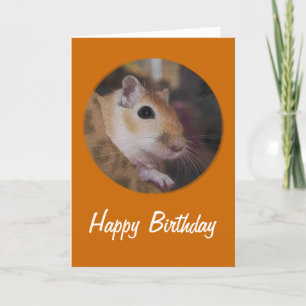 Cute Golden Pet Gerbil Card