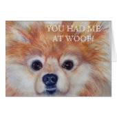 CUTE GOLDEN POMERANIAN (Front Horizontal)