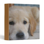 Cute Golden Pup Binder