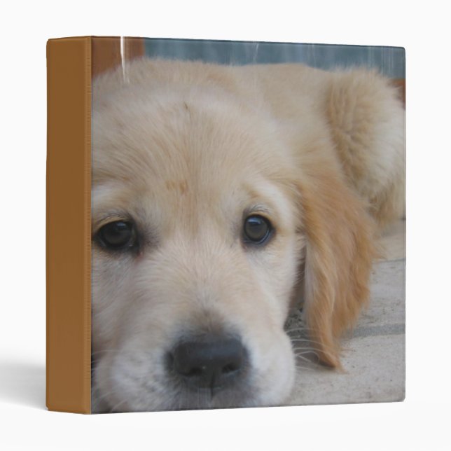 Cute Golden Pup Binder (Front/Spine)