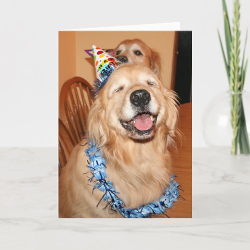 Cute Golden Retriever Birthday Wishes Card
