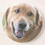 Cute Golden Retriever Coaster