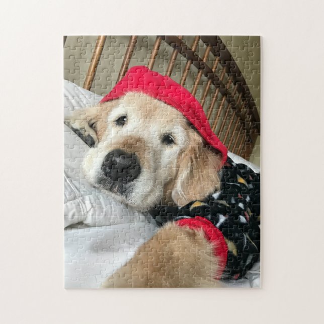 Cute Golden Retriever Dog in Pajamas Jigsaw Puzzle (Vertical)