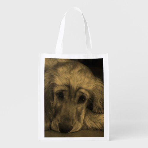 Cute Golden Retriever Dog Laying Down Grocery Bag