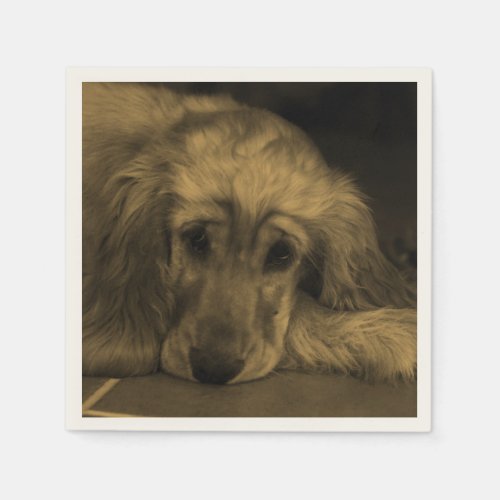 Cute Golden Retriever Dog Laying Down Paper Napkins