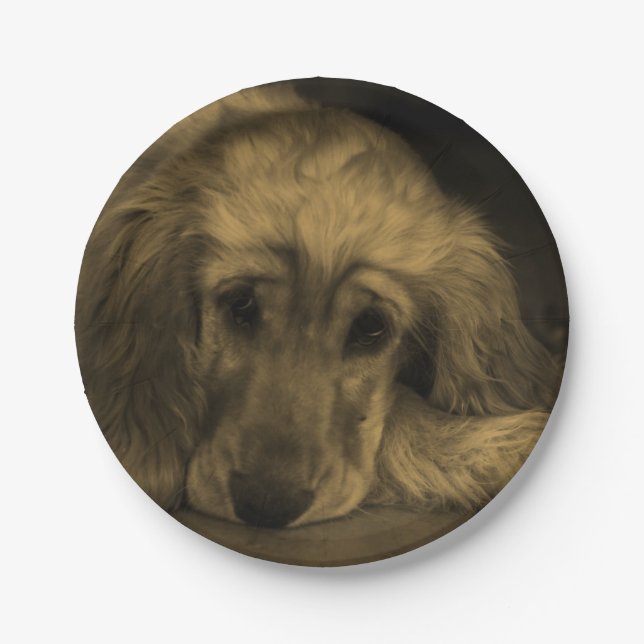 Cute Golden Retriever Dog Laying Down Paper Plates (Front)