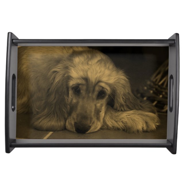 Cute Golden Retriever Dog Laying Down Serving Tray (Front)