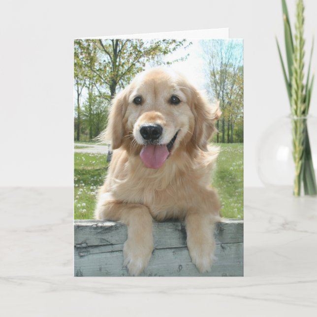 Cute Golden Retriever Dog on Fence Thinking of You Card (Front)