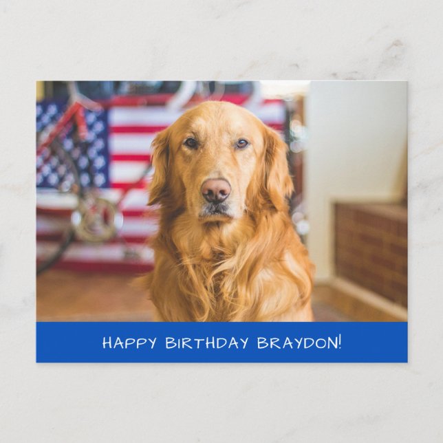 Cute Golden Retriever Dog Postcard (Front)