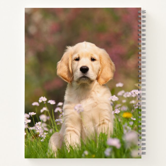 Cute Golden Retriever Dog Puppy Face Animal Name Notebook Zazzle