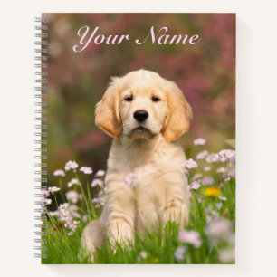 Cute Golden Retriever Dog Puppy Face Animal - Name Notebook